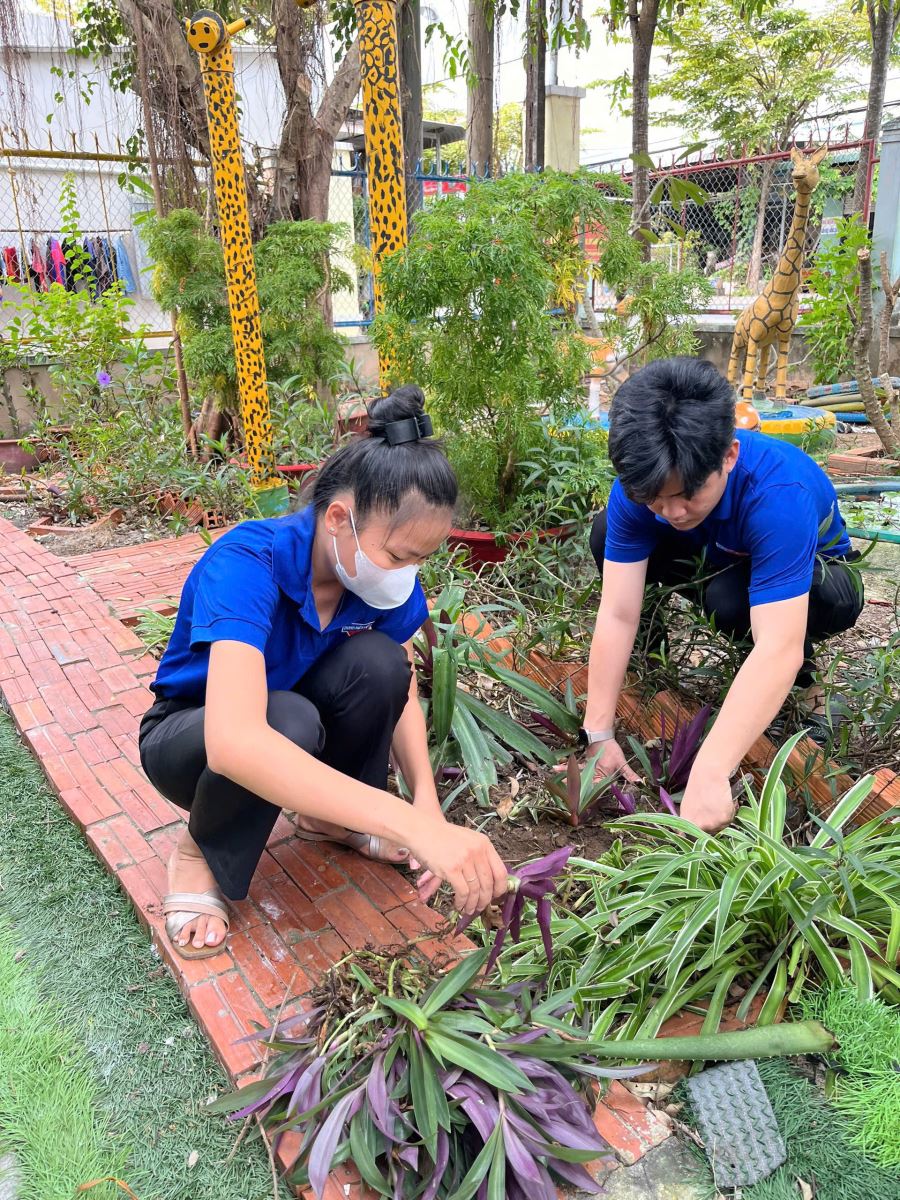 ĐOÀN THANH NIÊN  THAM GIA TRỒNG CÂY 
